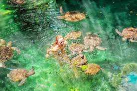 Natural Aquariums Tour Main Image