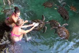 Nungwi beach and lagoon setting